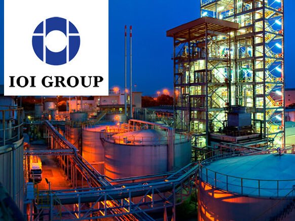 管理文化延续下的 IOI 判断逻辑与价值维度